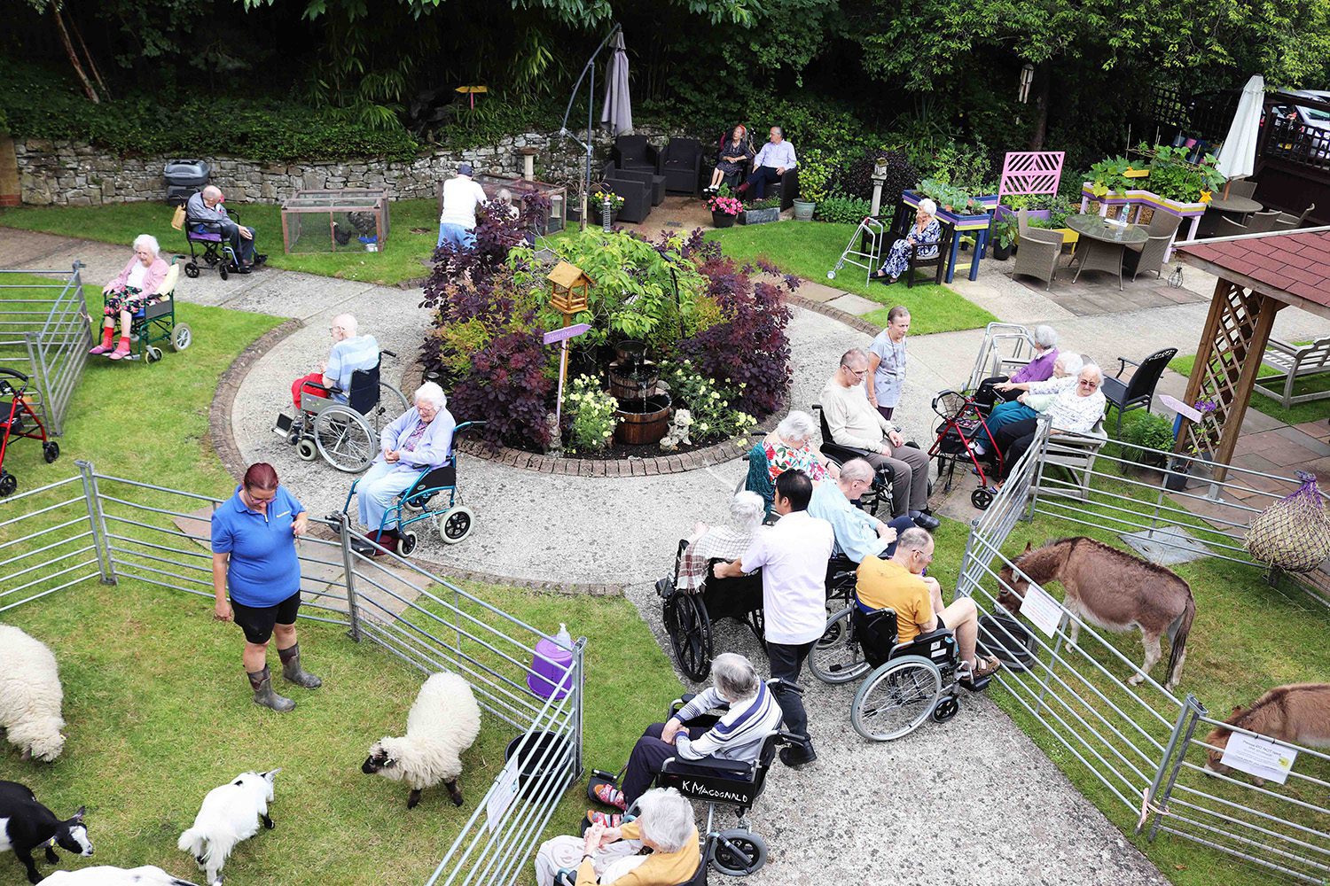 Cedar Lodge - Care Home Aldershot