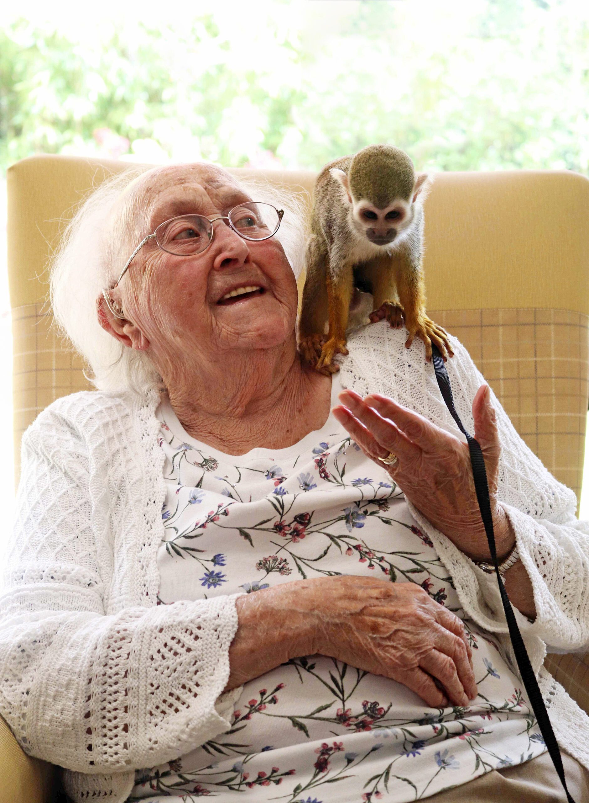 Activities at Cedar and Holly Lodge