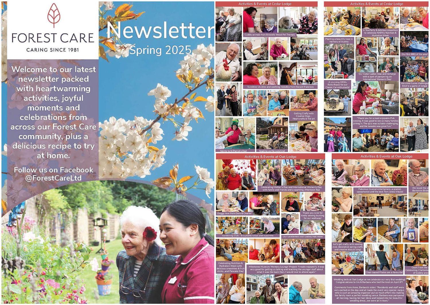 Forest Care Spring 2025 Newsletter