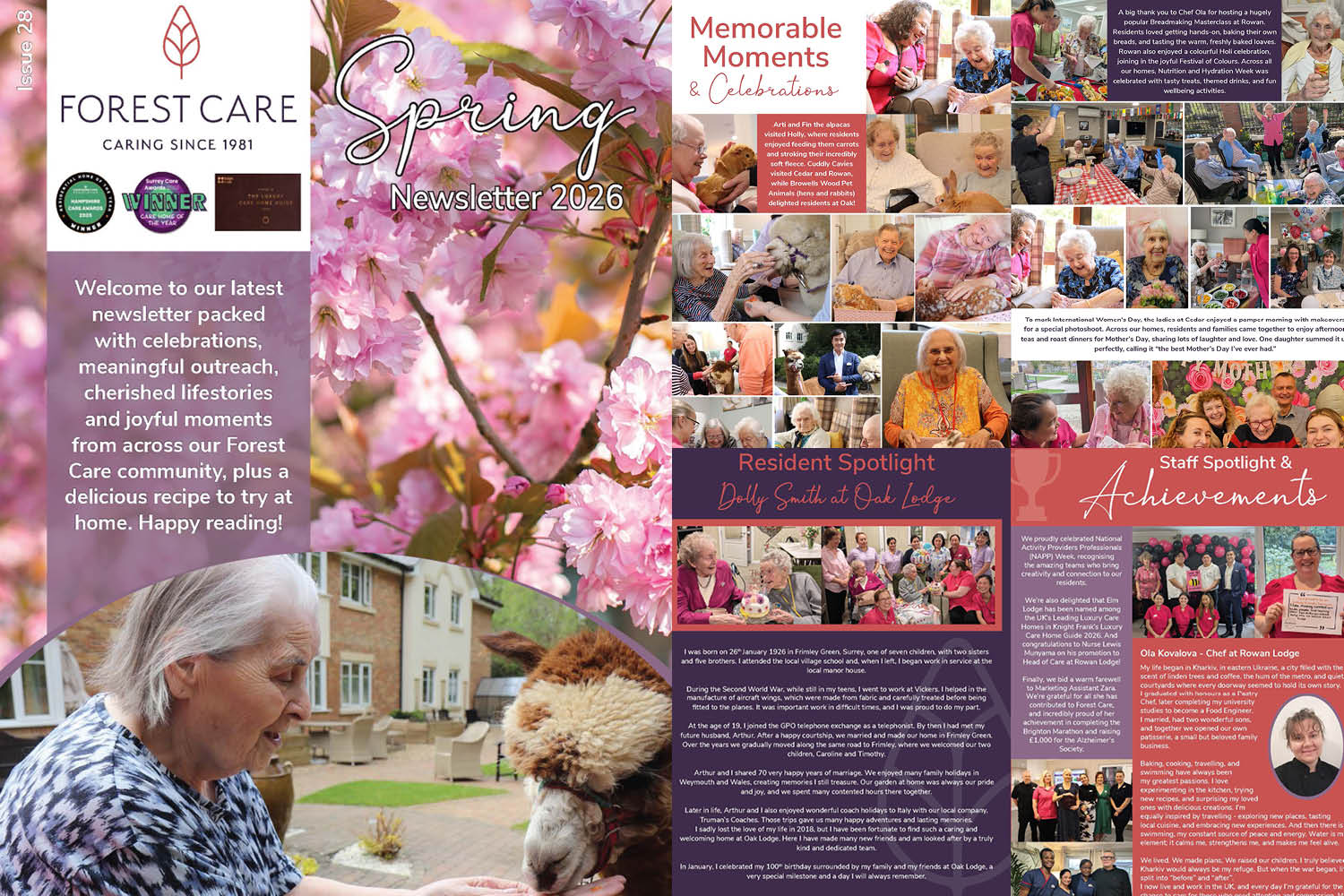 Forest Care's Spring 2026 Newsletter
